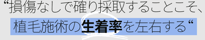 植毛施術の生着率を左右する