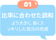 比率に合わせた調和より大きく、長くスッキリした目元の完成