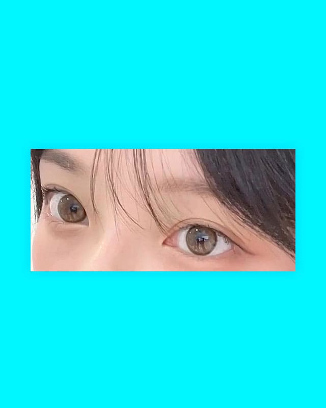 DA華やかなセミアウト