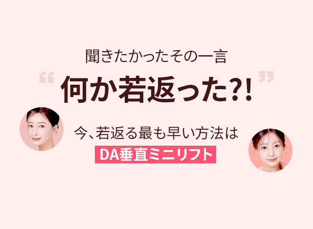 DA 垂直ミニリフト
