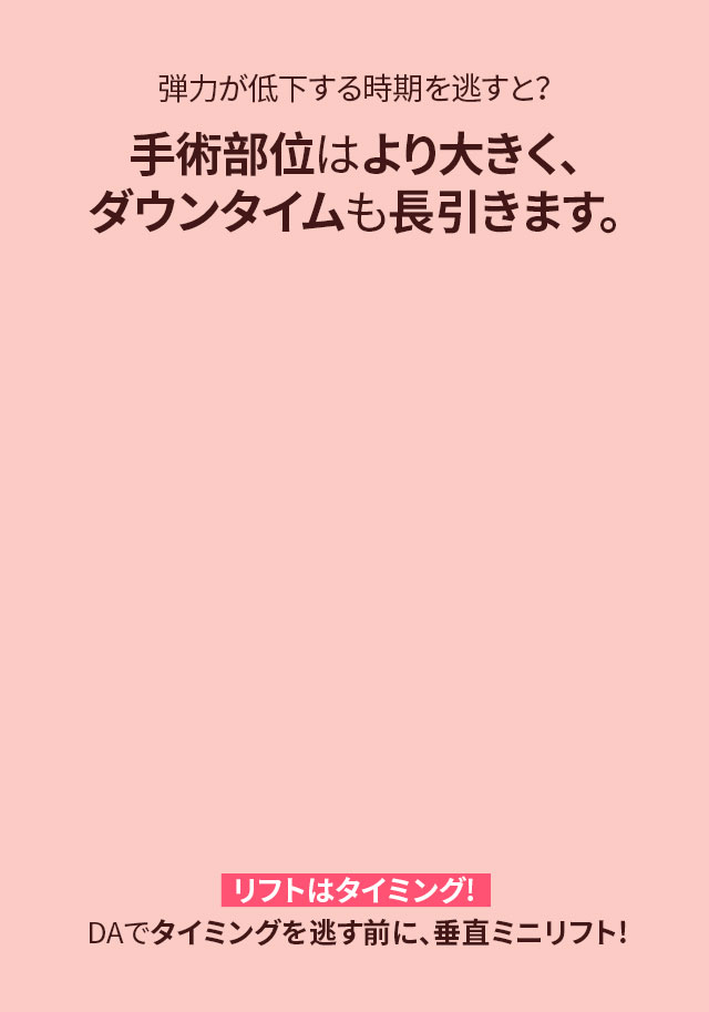 DA 垂直ミニリフト