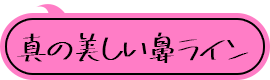 真の美しい鼻ライン