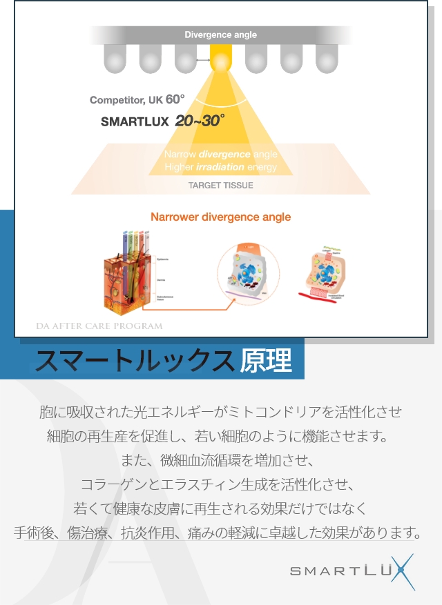 手術後、傷治療、抗炎作用、痛みの軽減に卓越した効果があります。